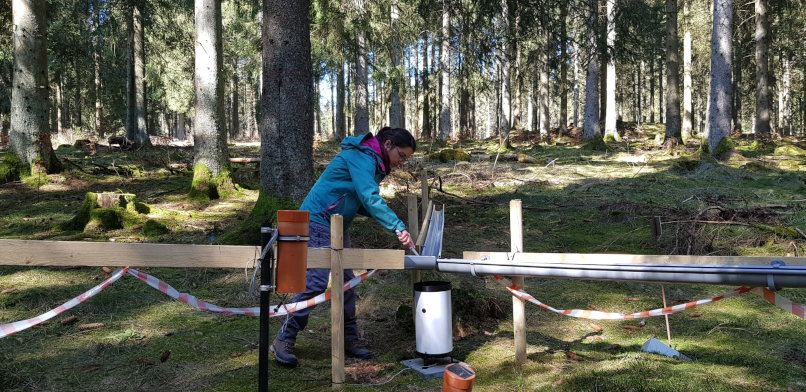 Eliza Placzkowska during studies at Wüstebach catchment (Photo: Mona Ziemes)