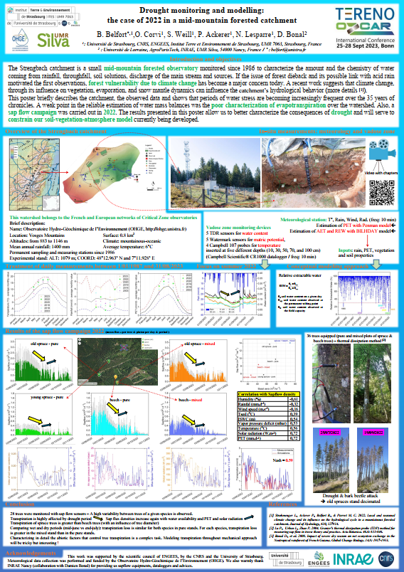 Poster Belfort et al