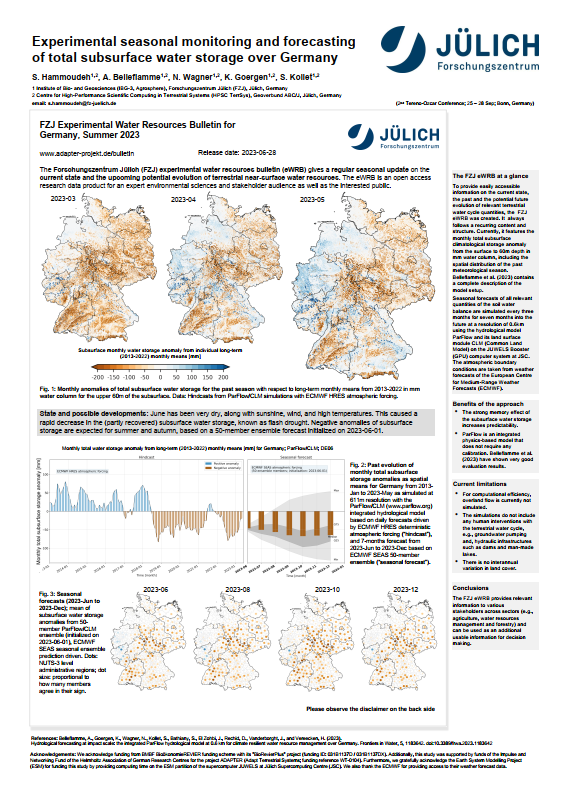 Poster Hammoudeh et al